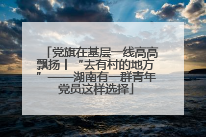党旗在基层一线高高飘扬丨“去有村的地方”——湖南有一群青年党员这样选择