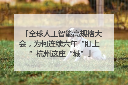 全球人工智能高规格大会，为何连续六年“盯上”杭州这座“城”