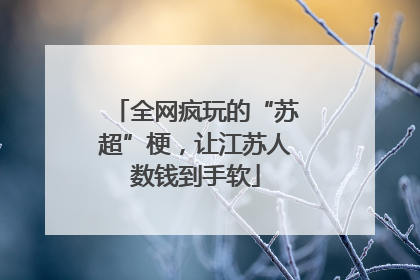 全网疯玩的“苏超”梗，让江苏人数钱到手软