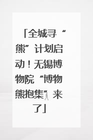 全城寻“熊”计划启动！无锡博物院“博物熊抱集”来了