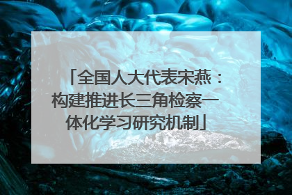 全国人大代表宋燕：构建推进长三角检察一体化学习研究机制