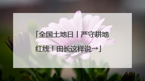 全国土地日丨严守耕地红线！田长这样说→