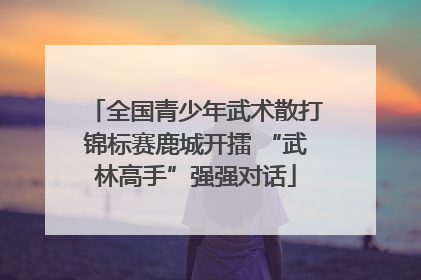 全国青少年武术散打锦标赛鹿城开擂 “武林高手”强强对话