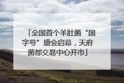 全国首个羊肚菌“国字号”盛会启幕，天府菌都交易中心开市