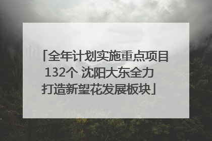 全年计划实施重点项目132个 沈阳大东全力打造新望花发展板块