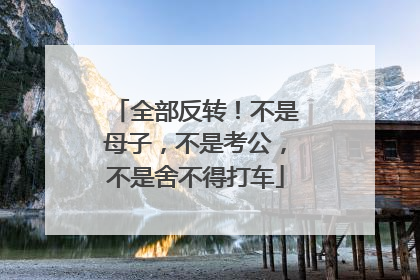 全部反转！不是母子，不是考公，不是舍不得打车