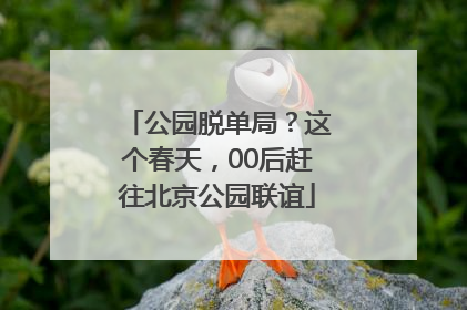 公园脱单局？这个春天，00后赶往北京公园联谊