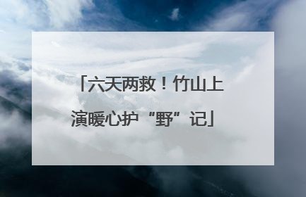 六天两救！竹山上演暖心护“野”记