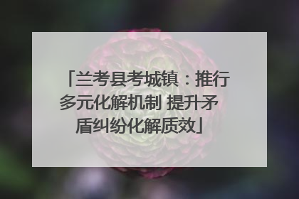 兰考县考城镇：推行多元化解机制 提升矛盾纠纷化解质效