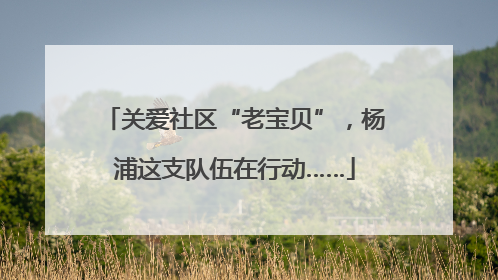 关爱社区“老宝贝”，杨浦这支队伍在行动……