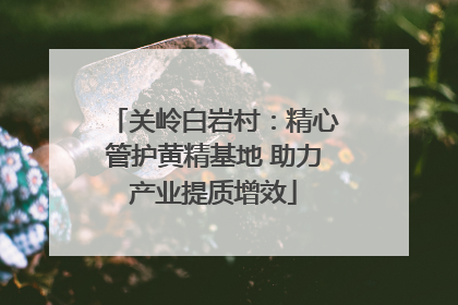 关岭白岩村：精心管护黄精基地 助力产业提质增效