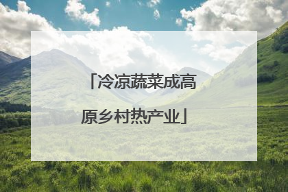 冷凉蔬菜成高原乡村热产业