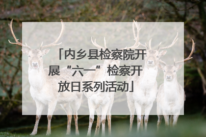 内乡县检察院开展“六一”检察开放日系列活动