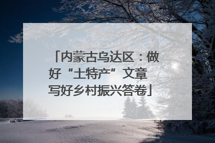 内蒙古乌达区：做好“土特产”文章 写好乡村振兴答卷