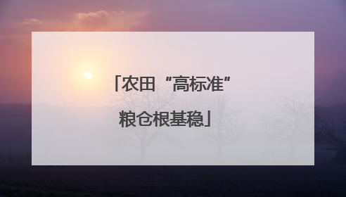 农田“高标准” 粮仓根基稳