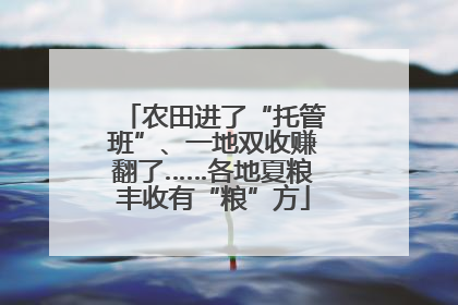 农田进了“托管班”、一地双收赚翻了……各地夏粮丰收有“粮”方