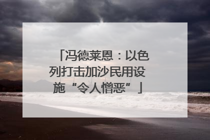 冯德莱恩：以色列打击加沙民用设施“令人憎恶”