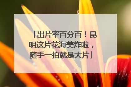 出片率百分百！昆明这片花海美炸啦，随手一拍就是大片