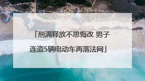 刑满释放不思悔改 男子连盗5辆电动车再落法网