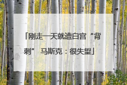 刚走一天就遭白宫“背刺” 马斯克：很失望