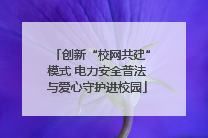 创新“校网共建”模式 电力安全普法与爱心守护进校园