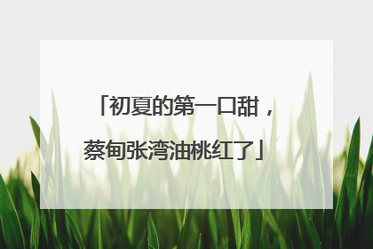 初夏的第一口甜，蔡甸张湾油桃红了