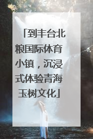到丰台北粮国际体育小镇，沉浸式体验青海玉树文化