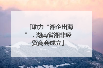 助力“湘企出海”，湖南省湘非经贸商会成立