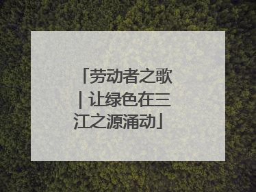 劳动者之歌｜让绿色在三江之源涌动