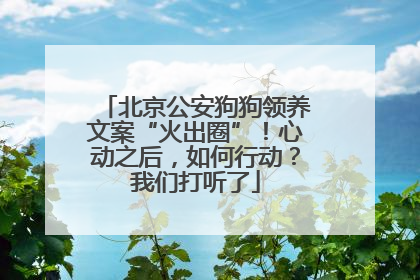 北京公安狗狗领养文案“火出圈”！心动之后，如何行动？我们打听了
