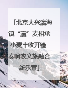 北京大兴瀛海镇“瀛”麦相承小麦丰收开镰 奏响农文旅融合新乐章