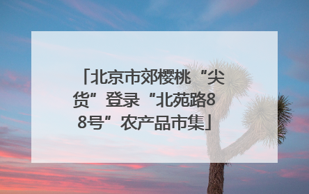 北京市郊樱桃“尖货”登录“北苑路88号”农产品市集