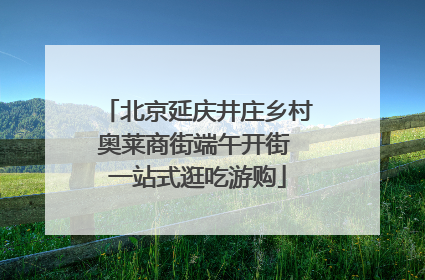 北京延庆井庄乡村奥莱商街端午开街 一站式逛吃游购