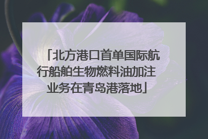 北方港口首单国际航行船舶生物燃料油加注业务在青岛港落地