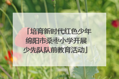 培育新时代红色少年 绵阳市桑枣小学开展少先队队前教育活动