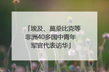 埃及、莫桑比克等非洲40多国中青年军官代表访华