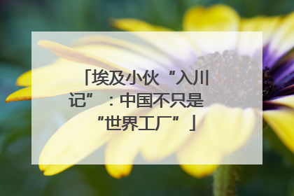 埃及小伙“入川记”：中国不只是“世界工厂”