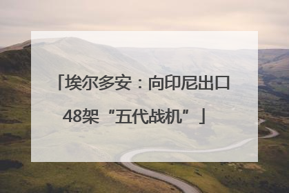 埃尔多安：向印尼出口48架“五代战机”