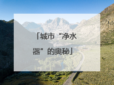 城市“净水器”的奥秘