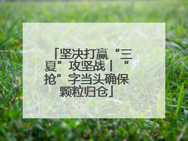 坚决打赢“三夏”攻坚战丨“抢”字当头确保颗粒归仓