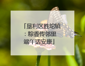 垦利区胜坨镇：粽香传邻里 端午话安康