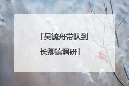 吴毓舟带队到长卿镇调研