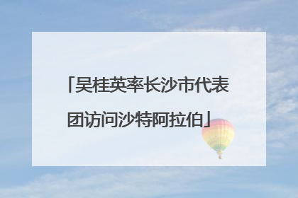 吴桂英率长沙市代表团访问沙特阿拉伯