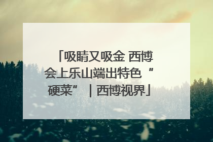 吸睛又吸金 西博会上乐山端出特色“硬菜”｜西博视界