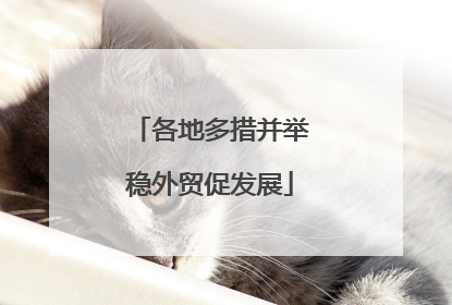 各地多措并举稳外贸促发展