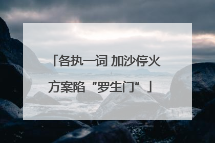 各执一词 加沙停火方案陷“罗生门”