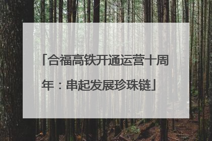合福高铁开通运营十周年：串起发展珍珠链