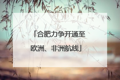 合肥力争开通至欧洲、非洲航线