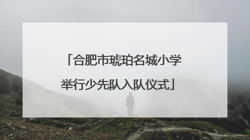 合肥市琥珀名城小学举行少先队入队仪式