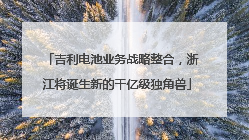 吉利电池业务战略整合，浙江将诞生新的千亿级独角兽